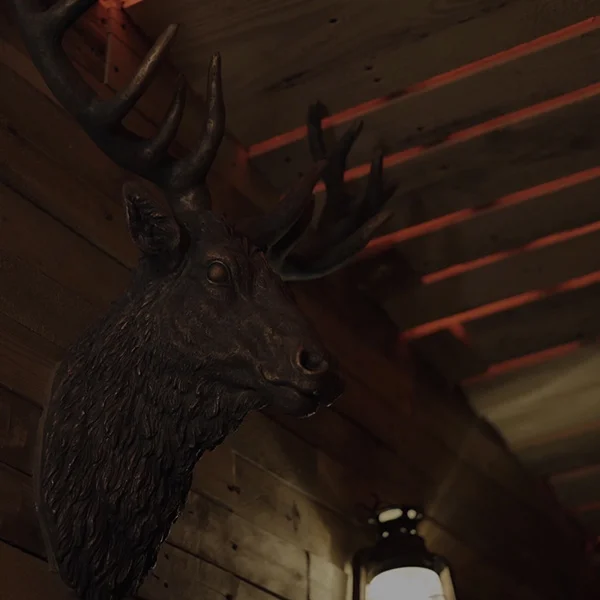 Escape Room Casa nel Bosco Milano: Ambientazione di gioco